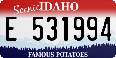 ID license plate E531994
