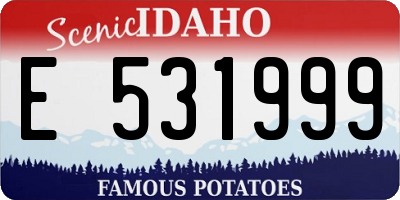 ID license plate E531999