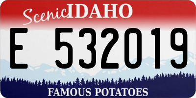 ID license plate E532019