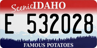 ID license plate E532028