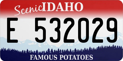 ID license plate E532029