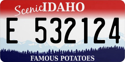 ID license plate E532124