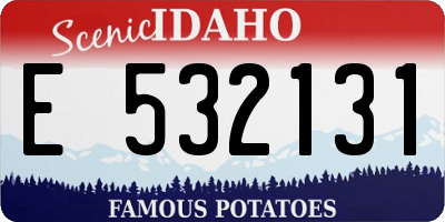 ID license plate E532131