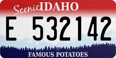 ID license plate E532142