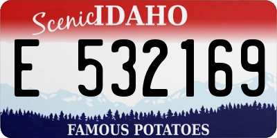 ID license plate E532169