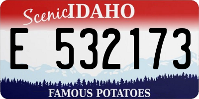 ID license plate E532173