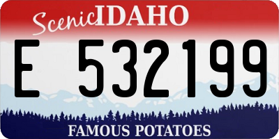ID license plate E532199