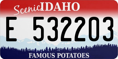 ID license plate E532203