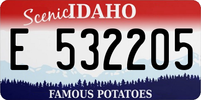 ID license plate E532205