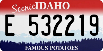 ID license plate E532219