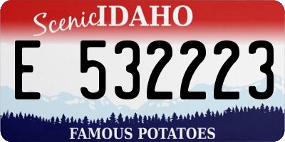 ID license plate E532223