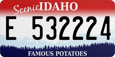 ID license plate E532224