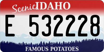ID license plate E532228