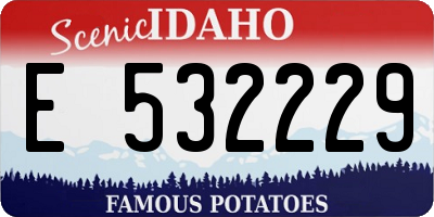 ID license plate E532229
