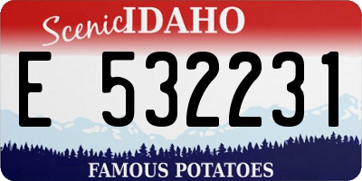 ID license plate E532231
