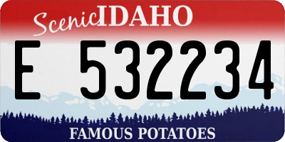 ID license plate E532234