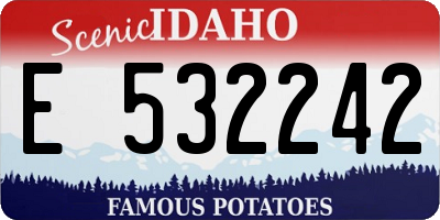 ID license plate E532242