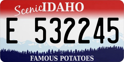 ID license plate E532245