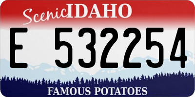 ID license plate E532254