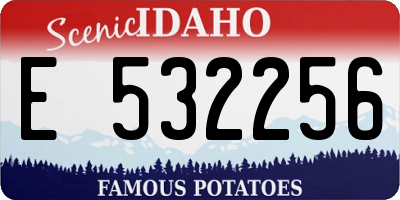 ID license plate E532256