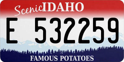 ID license plate E532259
