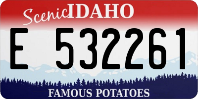 ID license plate E532261