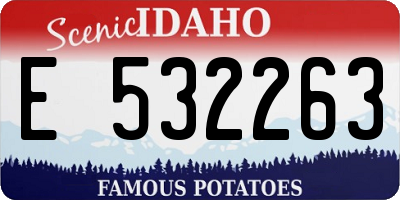 ID license plate E532263