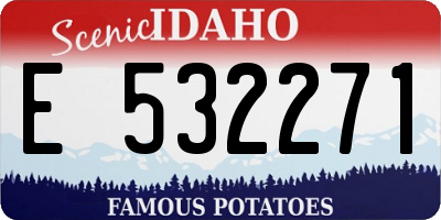 ID license plate E532271