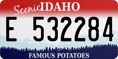 ID license plate E532284