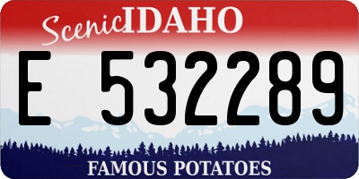 ID license plate E532289