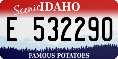 ID license plate E532290