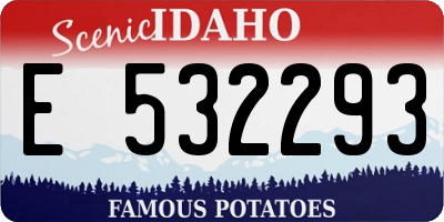 ID license plate E532293
