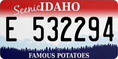 ID license plate E532294