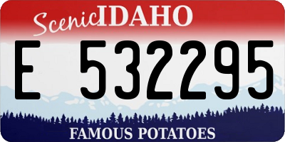 ID license plate E532295