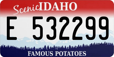 ID license plate E532299