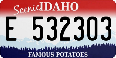 ID license plate E532303