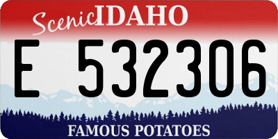 ID license plate E532306