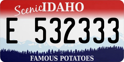 ID license plate E532333