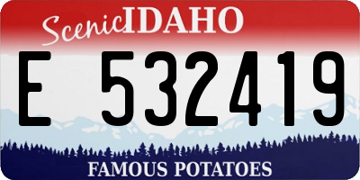 ID license plate E532419