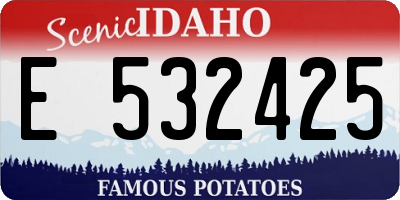 ID license plate E532425