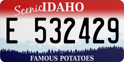 ID license plate E532429