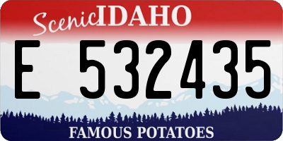 ID license plate E532435
