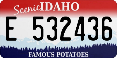 ID license plate E532436