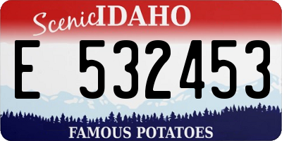 ID license plate E532453