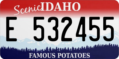 ID license plate E532455