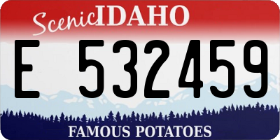 ID license plate E532459