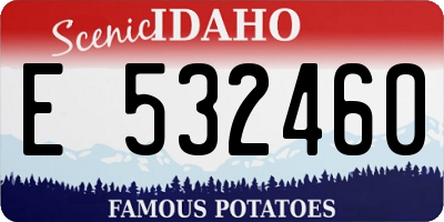ID license plate E532460
