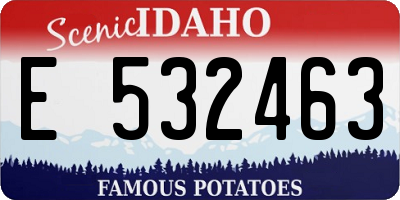 ID license plate E532463