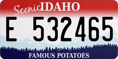 ID license plate E532465
