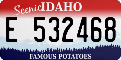 ID license plate E532468